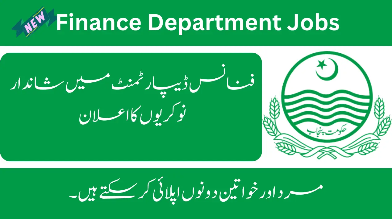 Job information for the finance department is published in the media and on the official website.