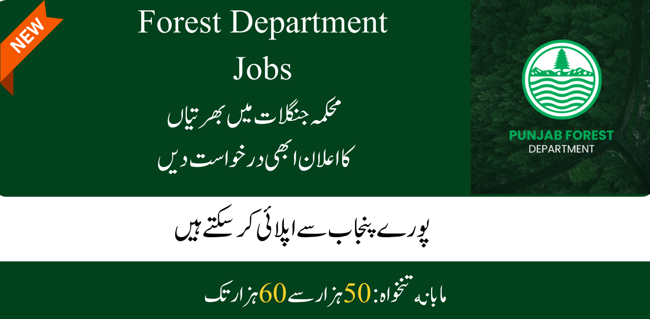 Forest Department Jobs 2024 Online Apply Advertisement Last Date