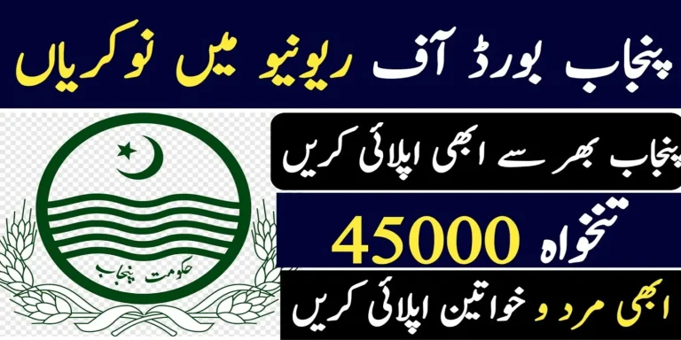 Punjab Revenue Authority Jobs 2024 Advertisement